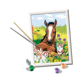 Ravensburger - Creart Veulen met Kittens - Schilderen op Nummer - Kunst & Ambachten